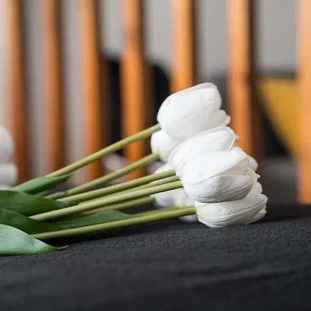 Guestready - Ria Reflection 阿威罗